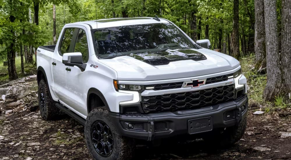 White 2026 Chevy Silverado 1500 parked off-road in a forest.